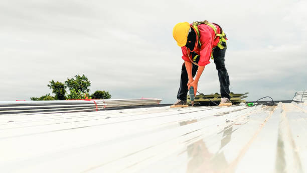 Best Green or Eco-Friendly Roofing Solutions  in Kailua, HI